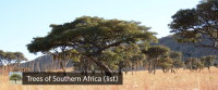 Trees of Southern Africa